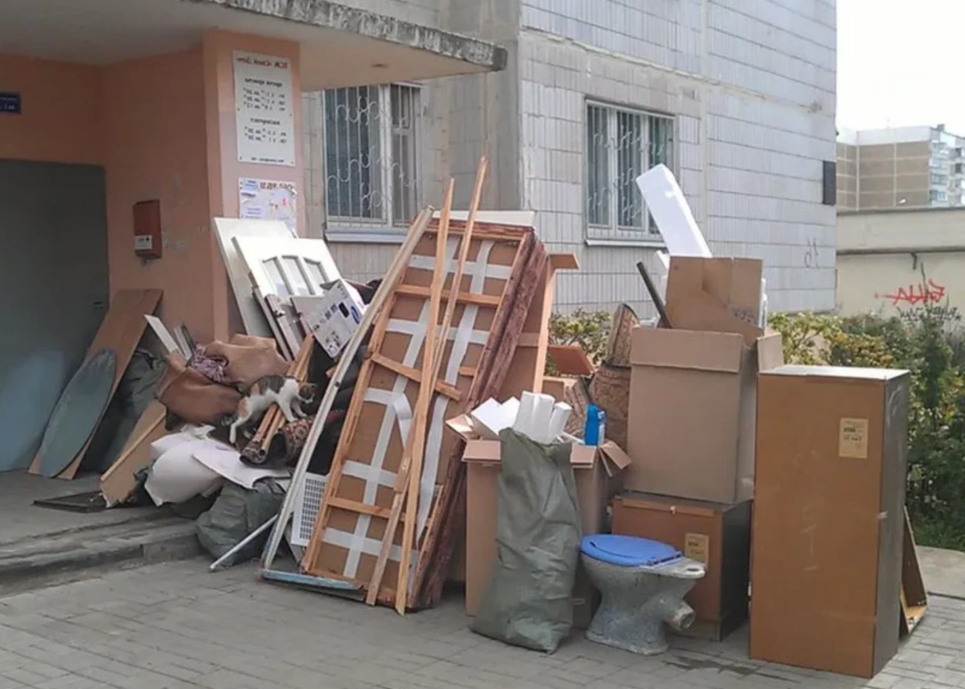 Профессиональный вывоз мусора из квартиры в Мирном в октябре