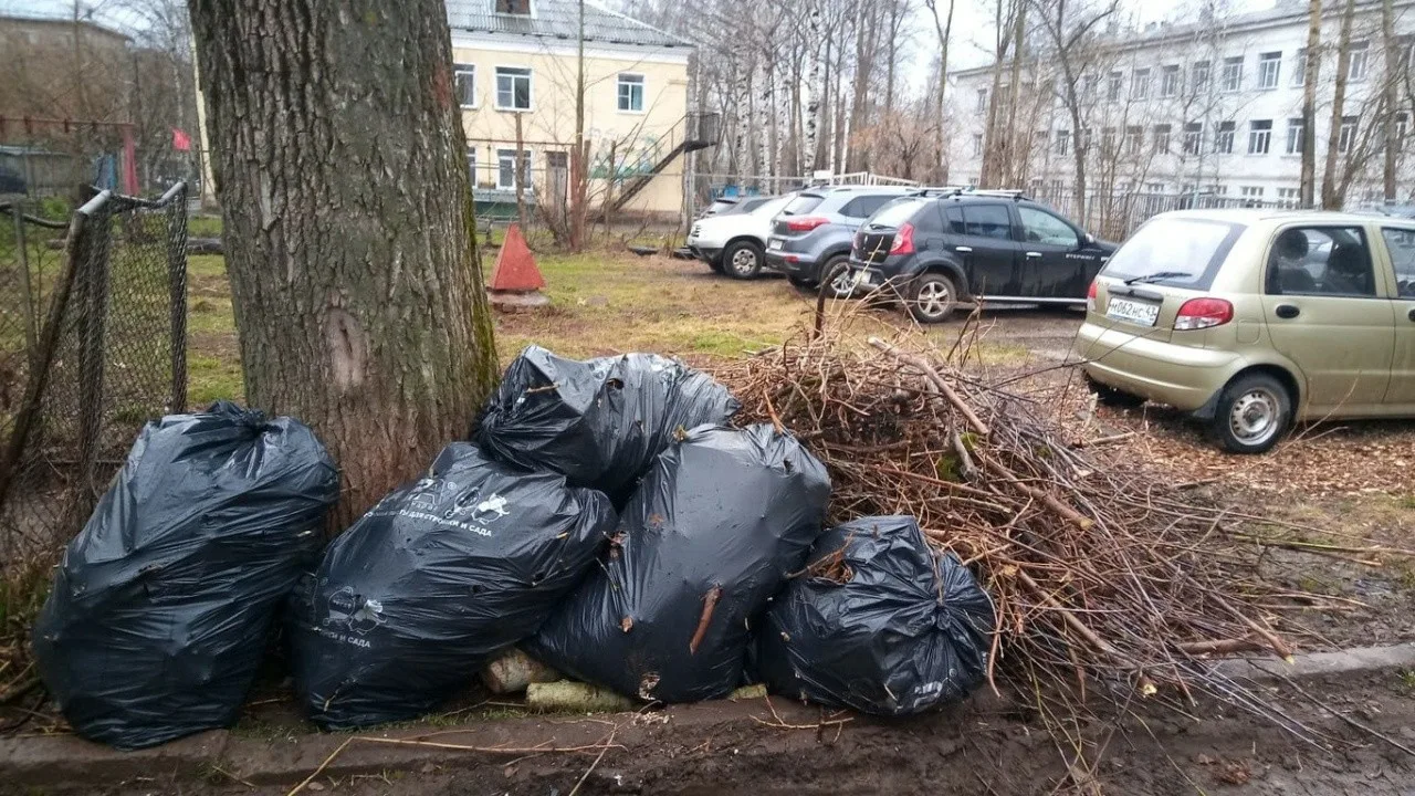 Вывоз мусора после субботника в Мирном от ПроМусор – уборка и утилизация отходов от 2376 руб