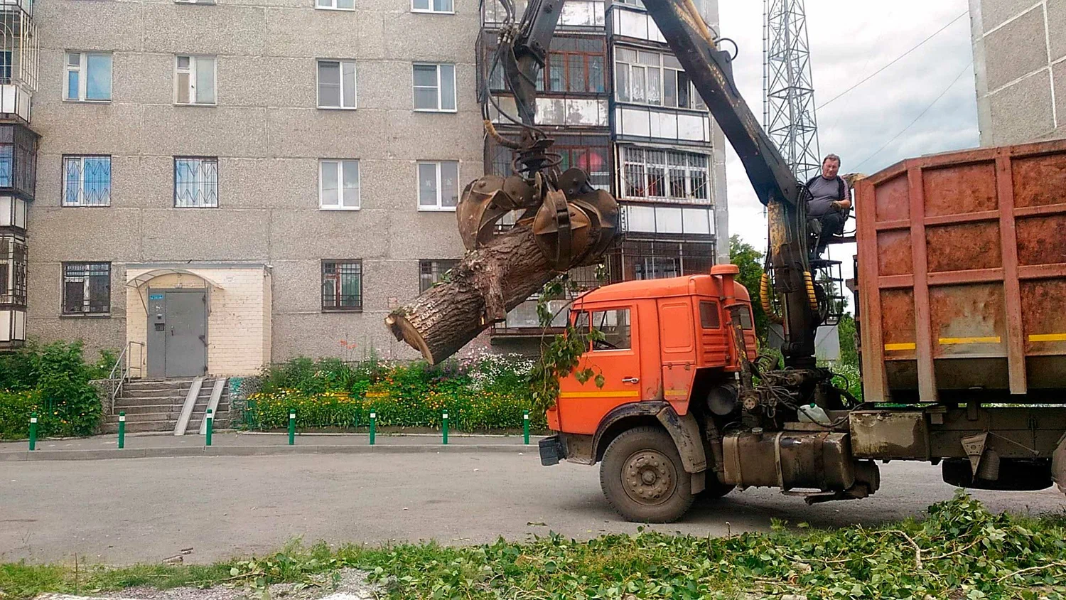 Вывоз спиленных веток и деревьев в Мирном от ПроМусор: порубочные остатки, утилизация, цена от 2932 руб