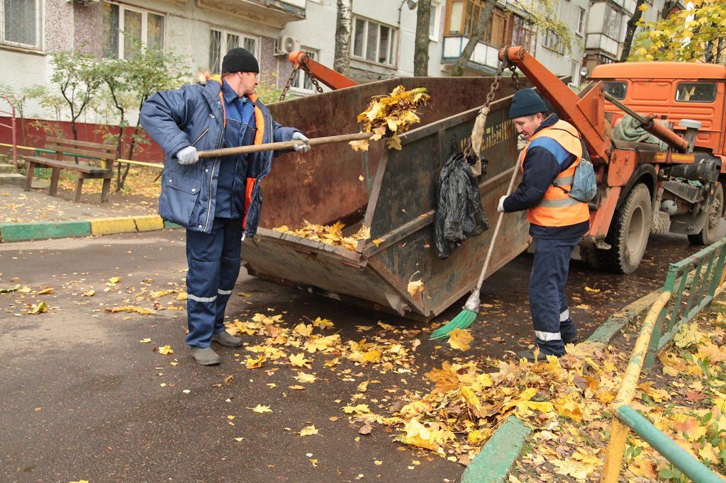 Вывоз опавшей листвы и растительного мусора в Мирном от ПроМусор – цена от 4549 руб., быстрая уборка и утилизация